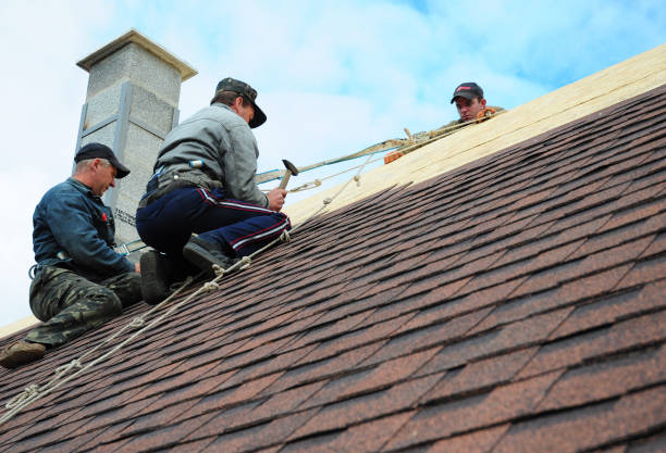 Best Roof Restoration Services  in Town Line, NY